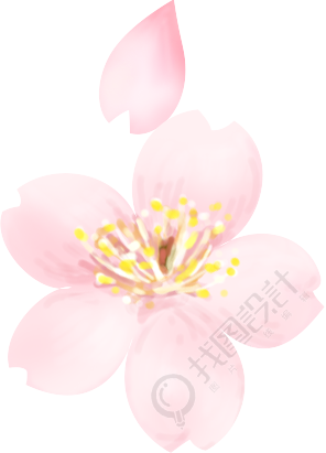 花瓣