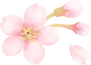 花朵