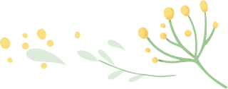 花枝