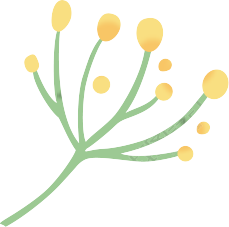 花枝