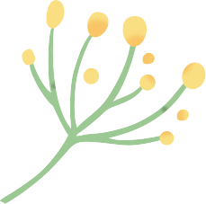 花枝