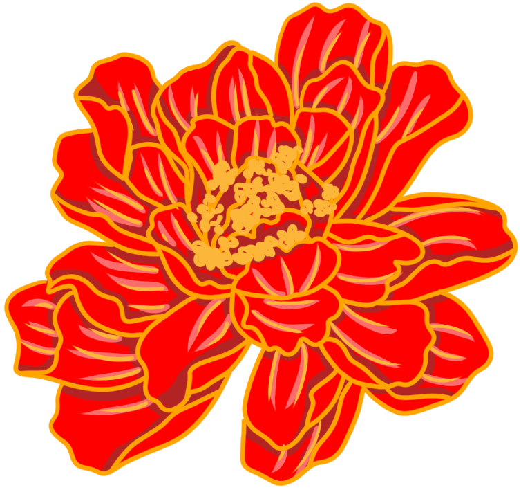 手绘立体牡丹花