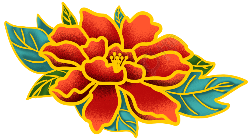 牡丹花