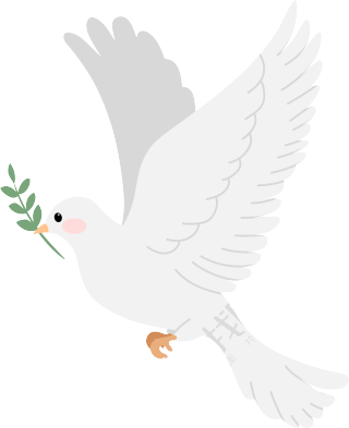 鸽子