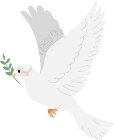 鸽子