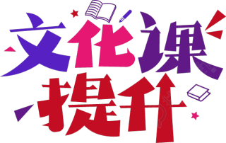 文化课提升