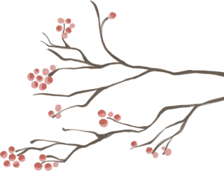 梅花
