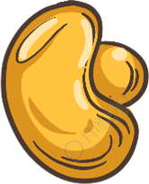 元宝