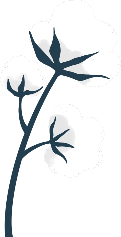 棉花