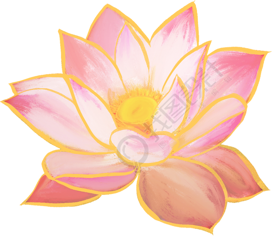 荷花