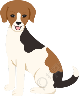 狗狗