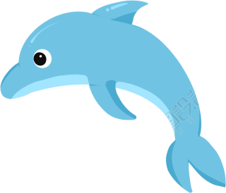 海豚