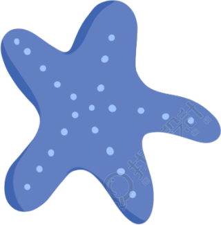 海星