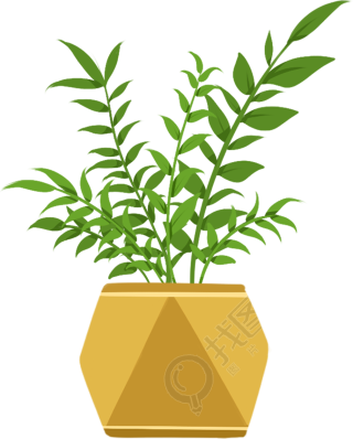 植物1