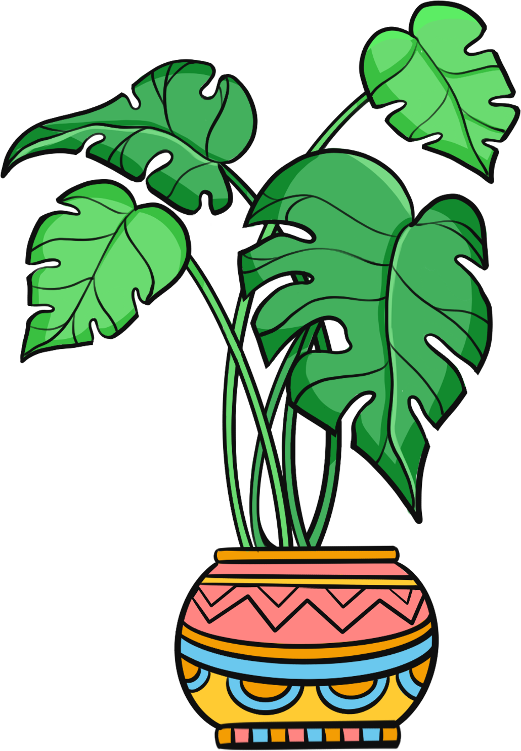 大叶子植物