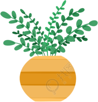 小叶植物