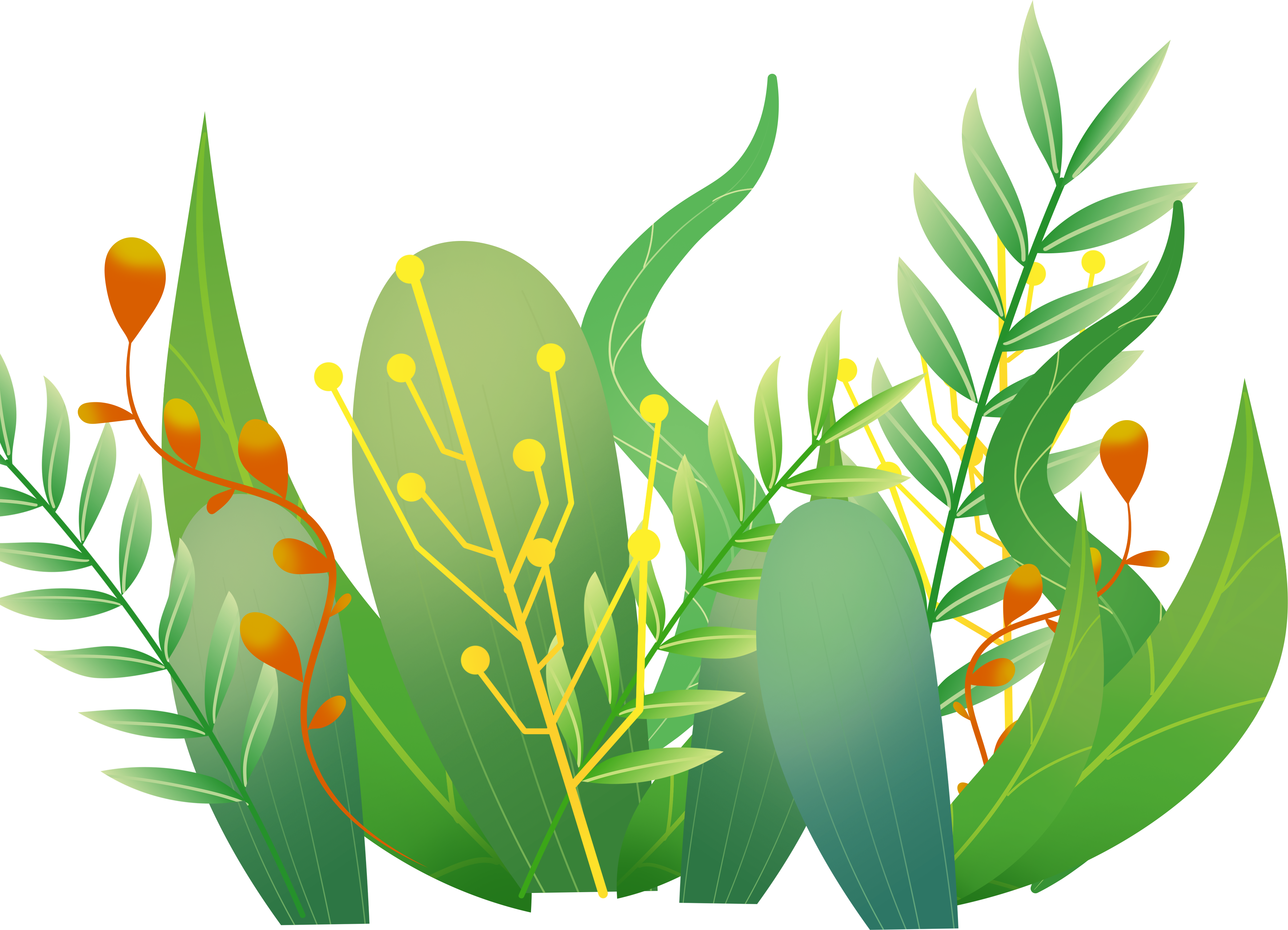 湿地植物