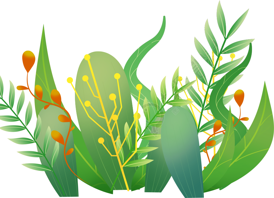 湿地植物