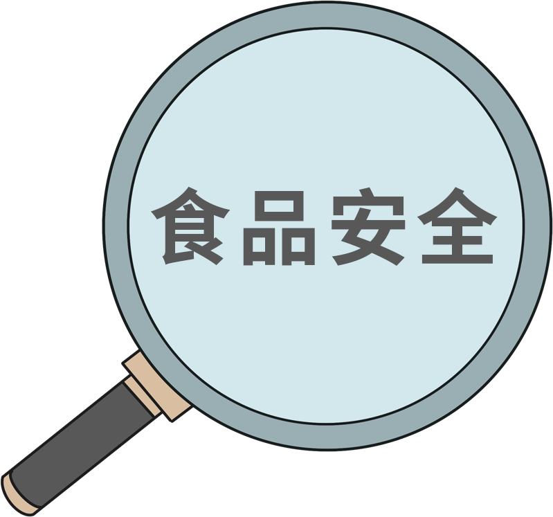 视频安全放大镜