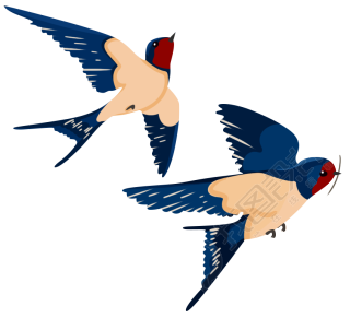 燕子