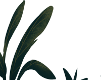 小草