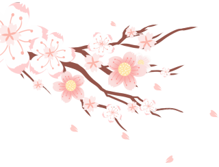 樱花