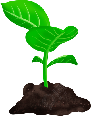 植树节茁壮成长的树苗
