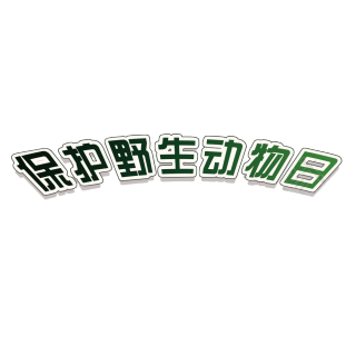 保护野生动物日