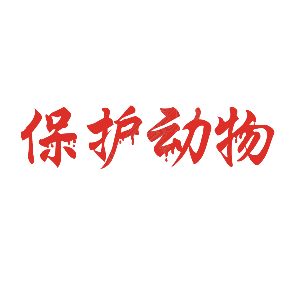保护动物