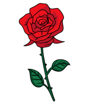 玫瑰花