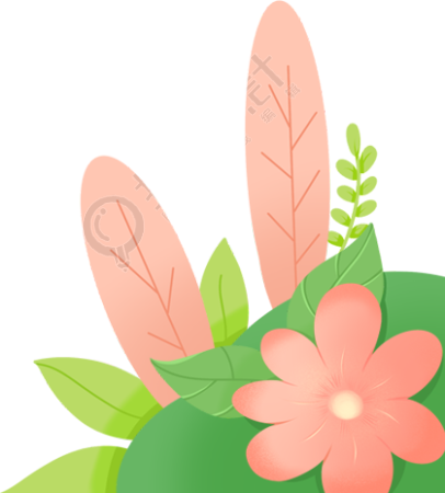 植物花卉