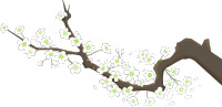 白色花枝