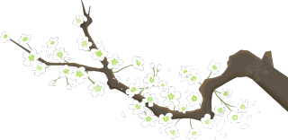 白色花枝