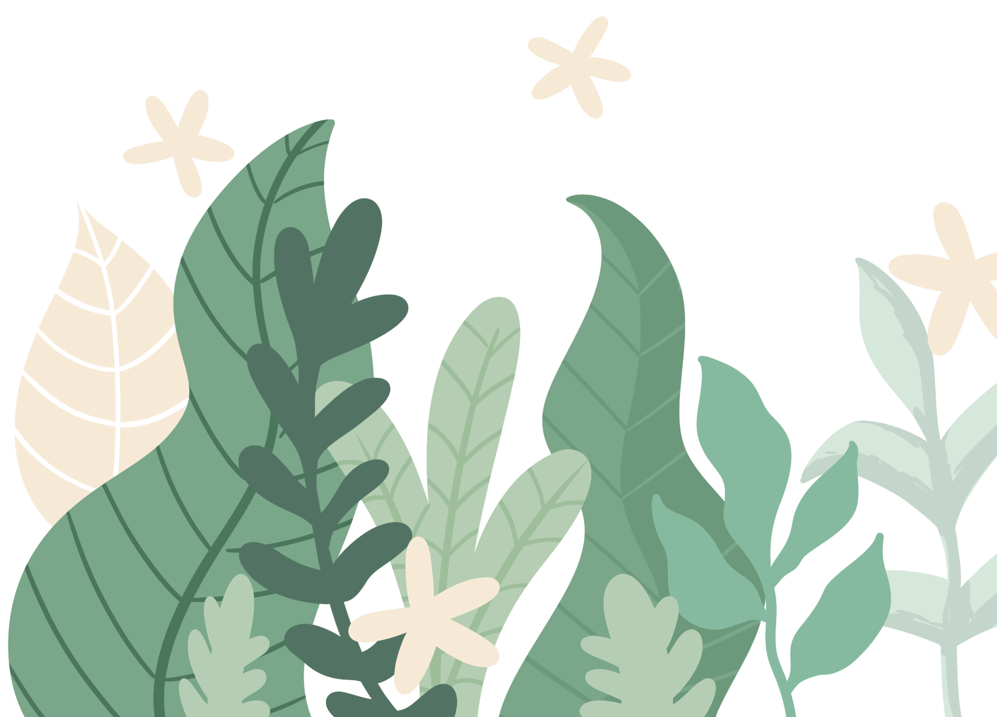 小清新草丛图片