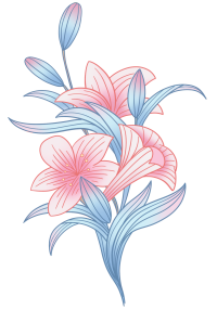 百合花图片