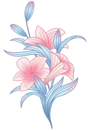 百合花图片