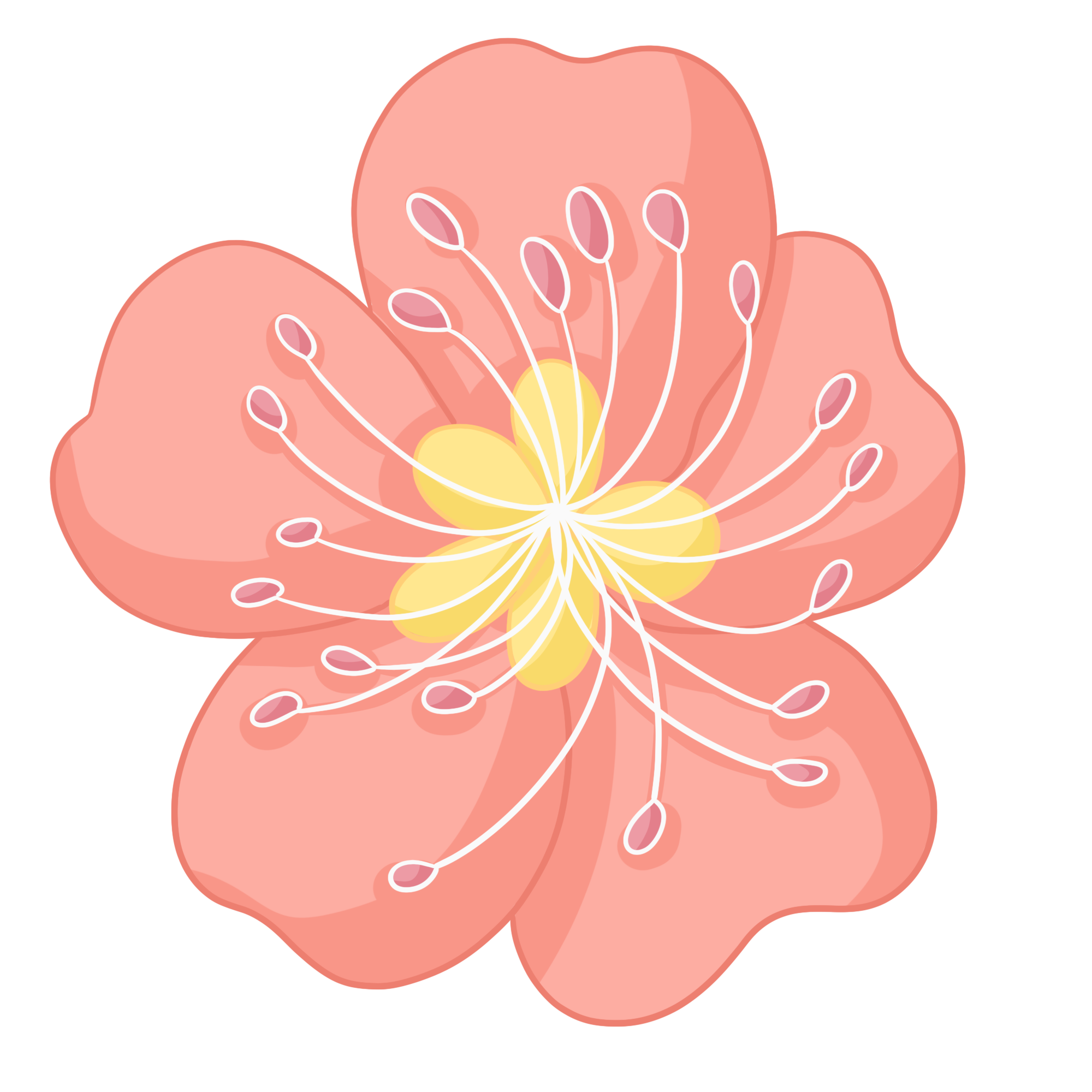 花朵图片
