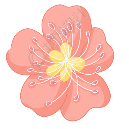 花朵图片