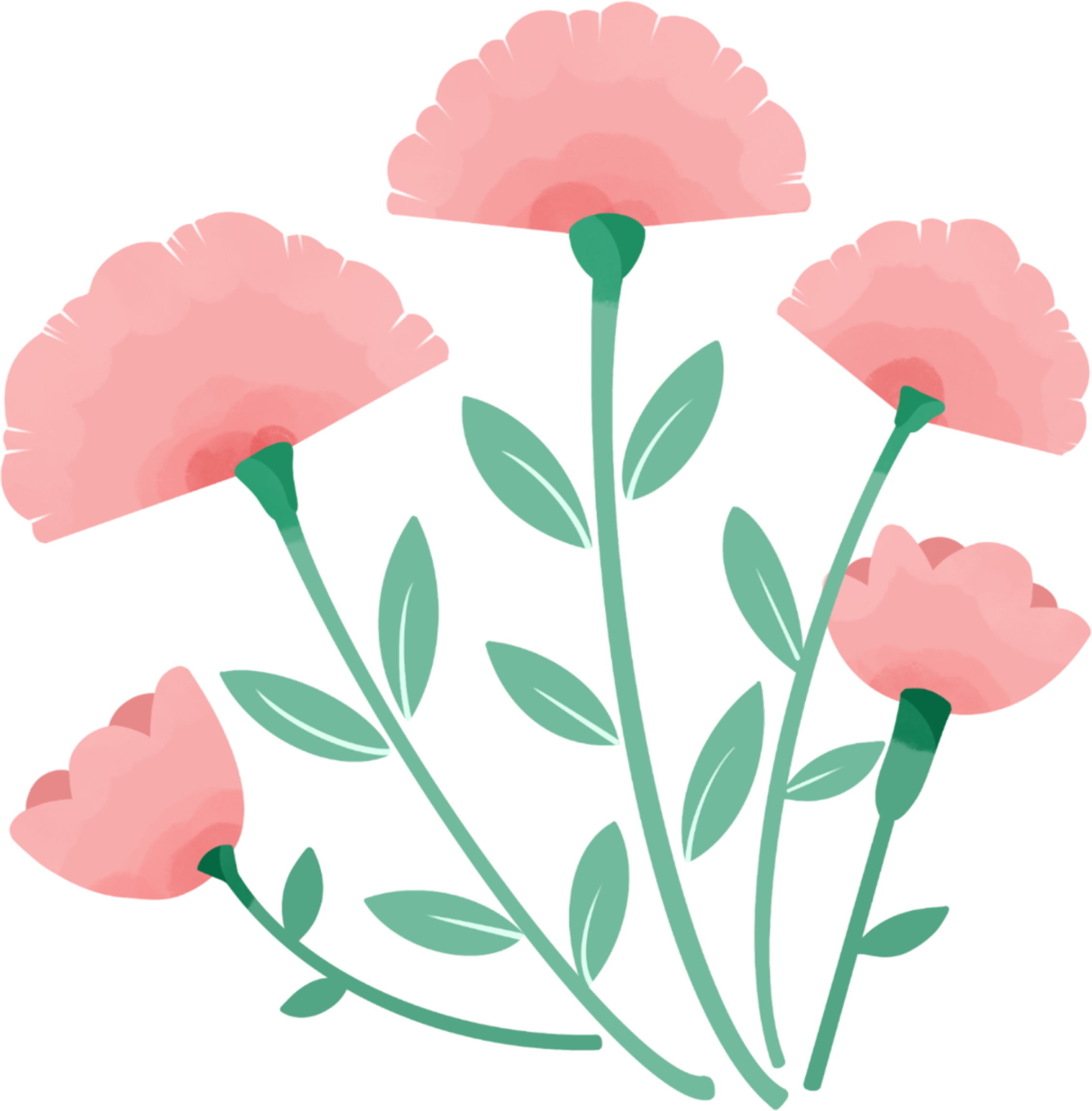 鲜花图片