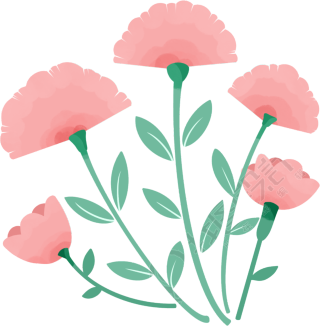 鲜花图片