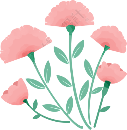 鲜花图片
