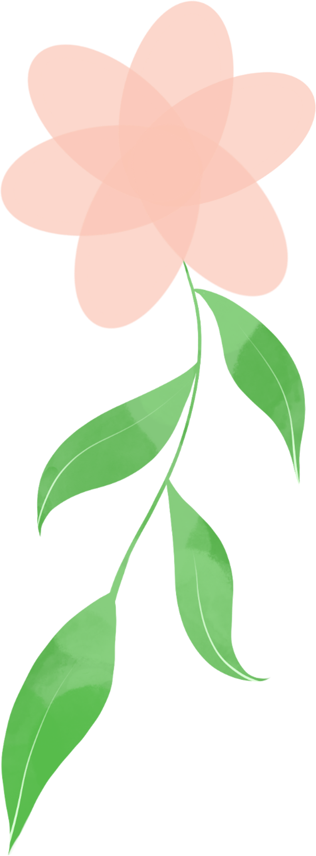 一朵花图片