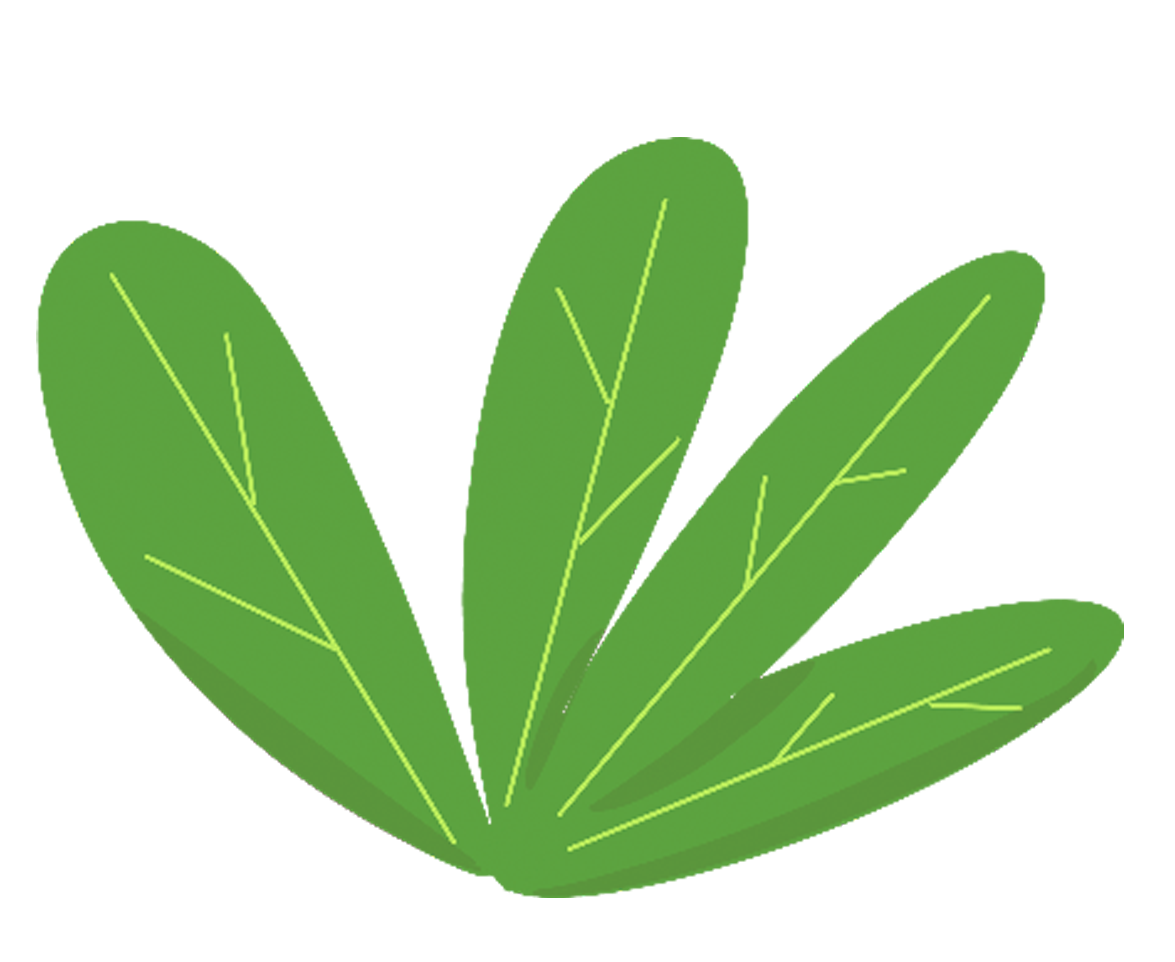 绿植图片