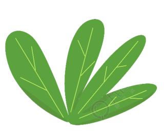 绿植图片