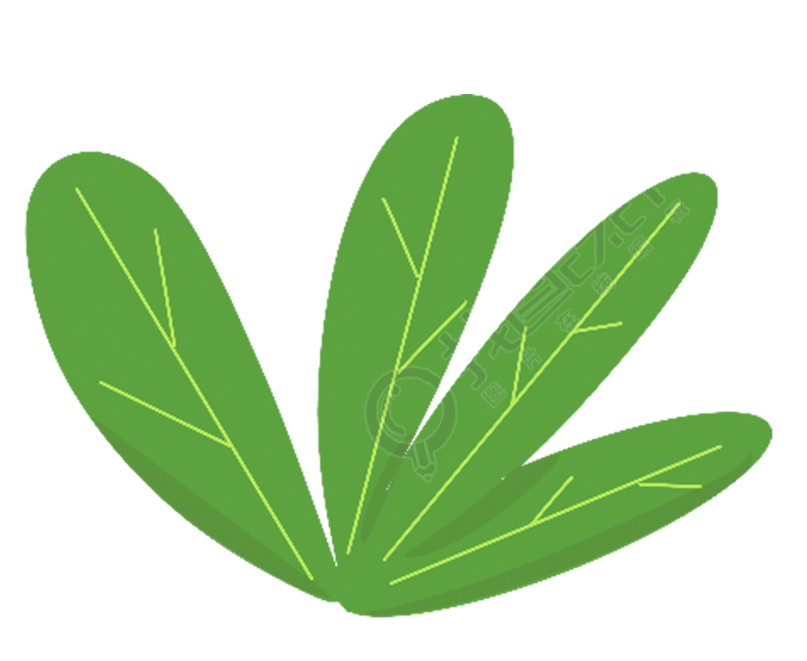 绿植图片