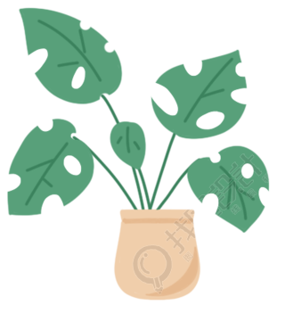 盆栽绿植图片