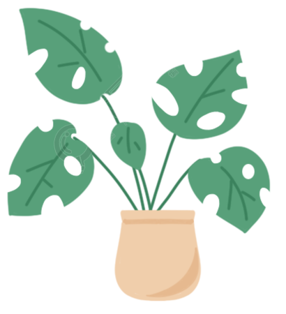盆栽绿植图片