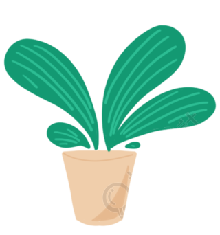 盆栽绿植图片