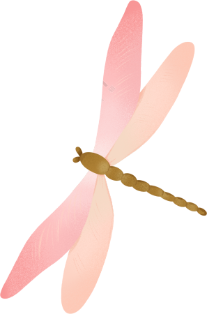 蜻蜓图片