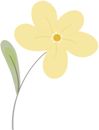 小黄花图片